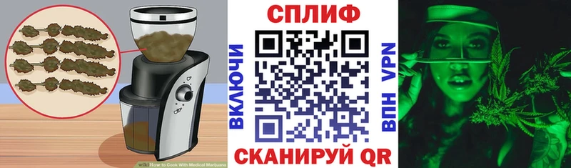 Cannafood конопля  Хасавюрт 