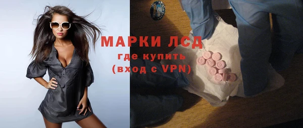 шишки Нижний Тагил