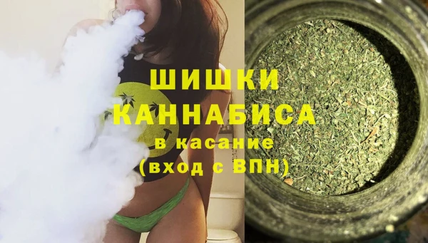 ПСИЛОЦИБИНОВЫЕ ГРИБЫ Лиски