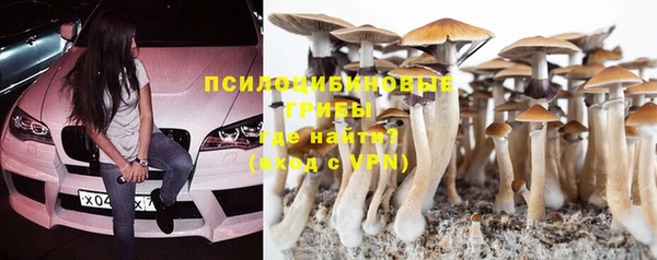ПСИЛОЦИБИНОВЫЕ ГРИБЫ Лиски