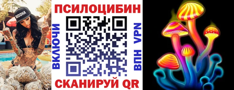 Псилоцибиновые грибы Cubensis  Хасавюрт 