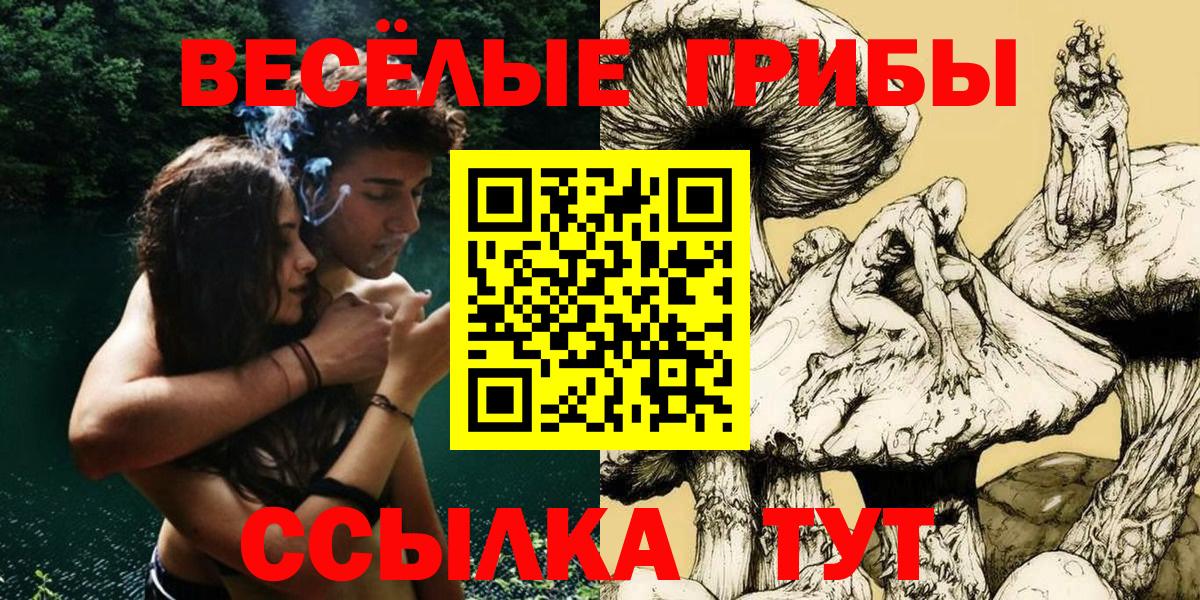 купить   Псилоцибиновые грибы MAGIC MUSHROOMS  Вход с VPN  Хасавюрт 
